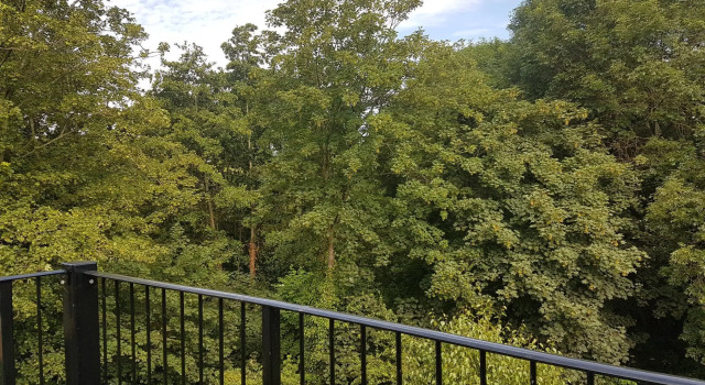 Номер Standard Lakeview Apartments and Rooms