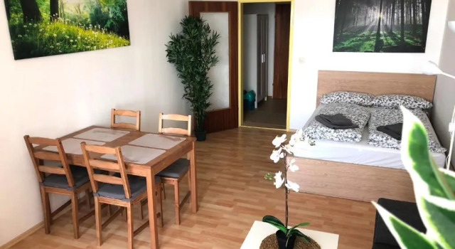 Студия Apartment Newstyle