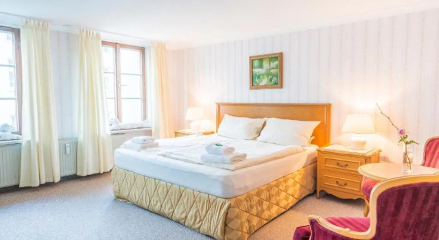 Двухместный номер Standard Romantisches Hotel Zur Traube Schwerin