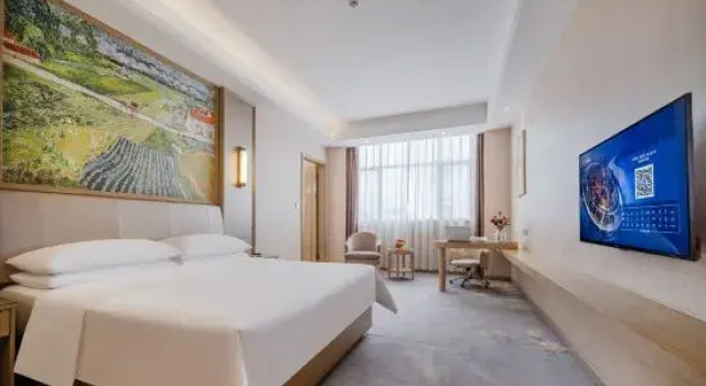 Люкс Deluxe Vienna Hotel (Shenzhen Pingshan High-Speed Railway Station Pingshan Bonded Zone North Gate)