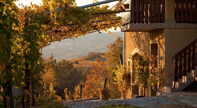 Коттедж Vineyard Cottage Brodaric