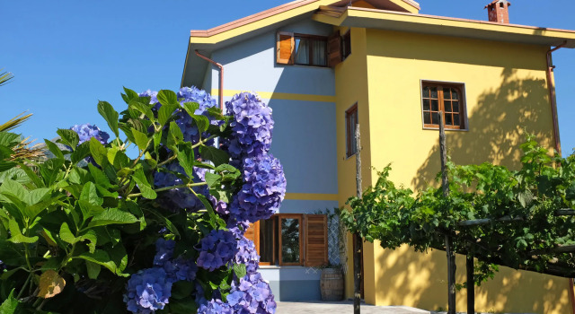 Villa Elisa