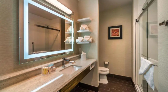 Люкс Hampton Inn & Suites - Reno West, NV