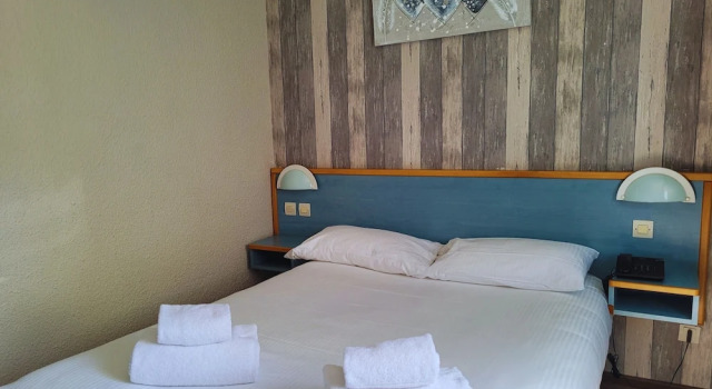 Номер Classic Hotel Restaurant Les Chataigniers