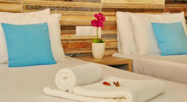 Номер Standard Cleopatra Apartments
