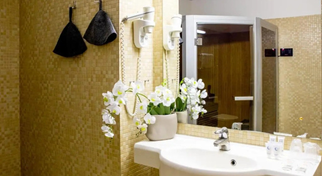 Двухместный люкс с видом на город Rija Bauska Hotel