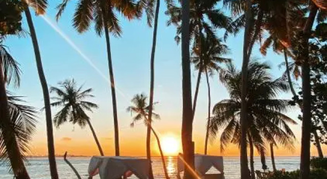 Samura Maldives Guest House, Rezerwuj Pensjonat Hotele w Kaafu Atoll ze śniadaniem, Śniadanie