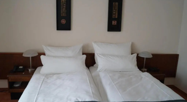 Двухместный номер Standard Hotel Forsthaus St. Hubertus