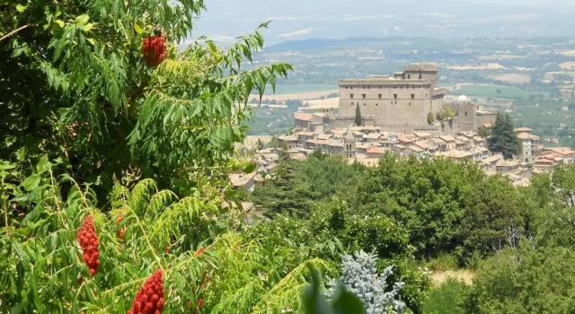 Номер Superior La Bastia Hotel & Resort