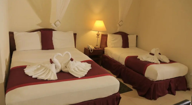 Двухместный номер Superior Executive Airport Hotel