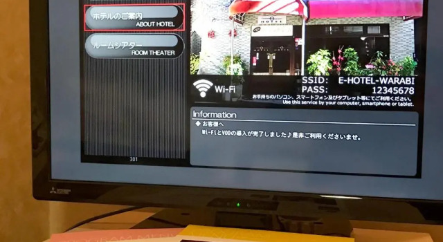 Двухместный номер Standard E Hotel Warabi