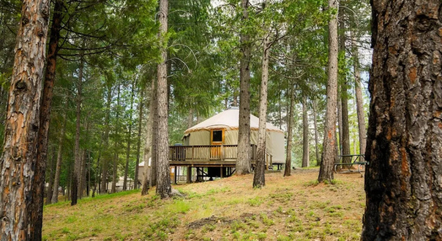 Тент Yosemite Lakes RV Resort