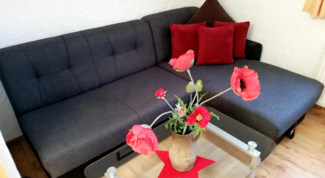 Апартаменты c 1 комнатой Appartement Valentin