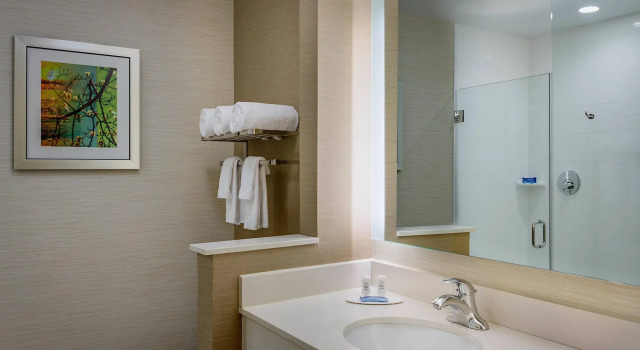 Номер Standard Fairfield Inn & Suites by Marriott Dallas West/I-30