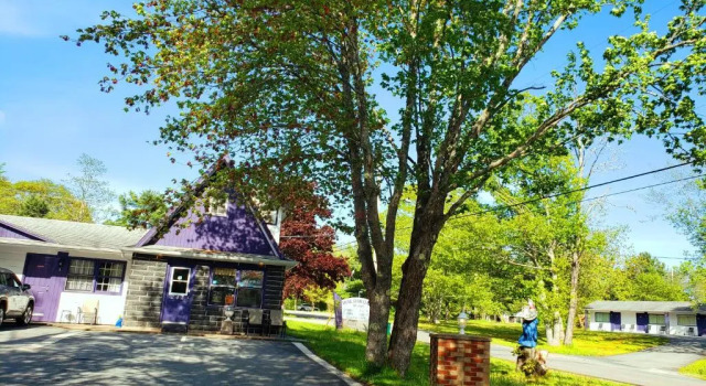 Четырёхместный номер Standard Wildwood Motel