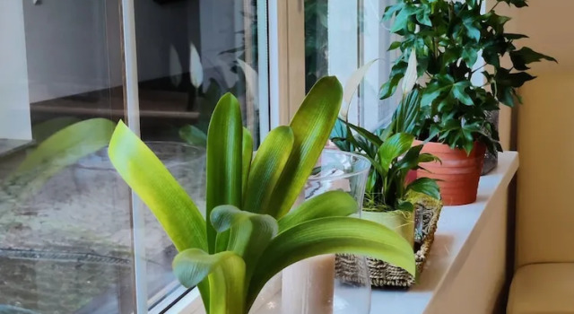 Номер Comfort Ferienwohnung Brunow