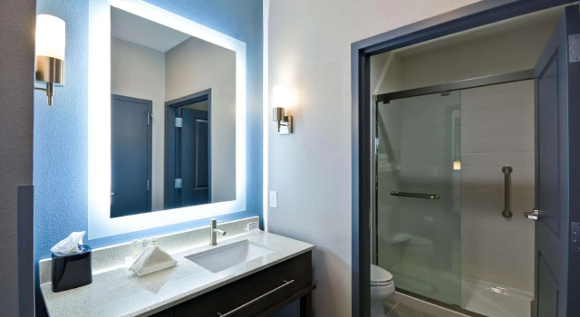 Двухместный люкс Homewood Suites by Hilton Conroe