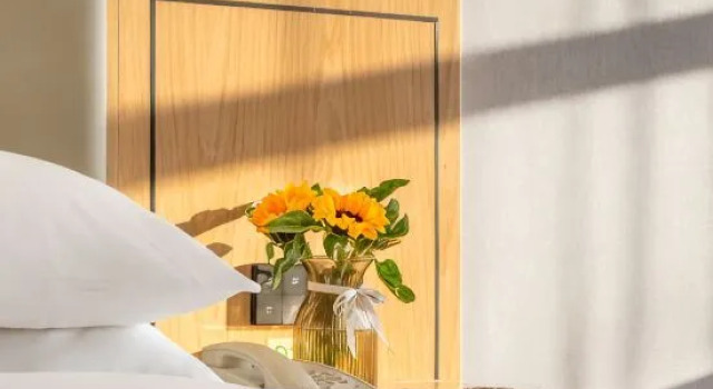 Suite Vienna Hotel