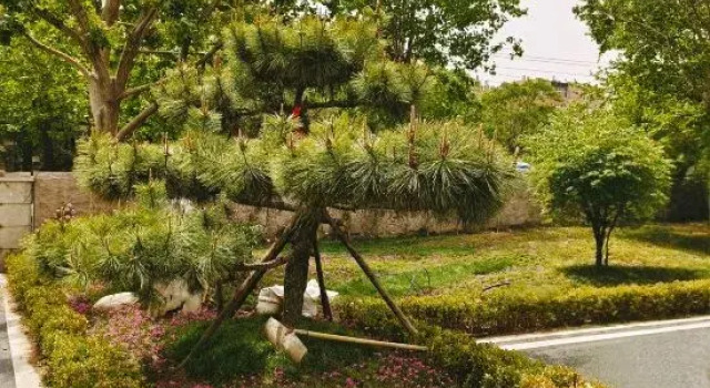 Baili Aishang International Hotel(Qingdao May Fourth Square Olympic Sailing Center Store)