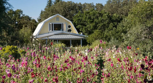 Suite mit Bergblick Blue Lake Ranch