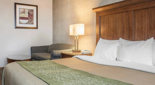 Номер Standard City Express by Marriott Port Hope