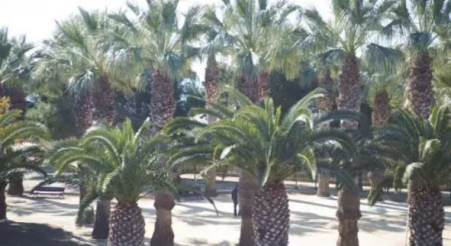 Appartment Kristal Mar II, Rezerwuj Apartament Moraira Costa Blanca