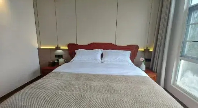 Одноместный люкс Huaxuan Hot Spring Hotel,Qingcheng Mountain
