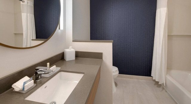 Люкс Fairfield Inn & Suites by Marriott Tampa Wesley Chapel