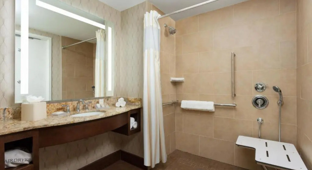 Двухместный номер Mobility Accessible with Roll-In Shower Hilton Garden Inn Washington DC/Georgetown Area