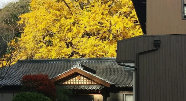 Ginnan no Yado, Varaa Hotelli Tsushima 