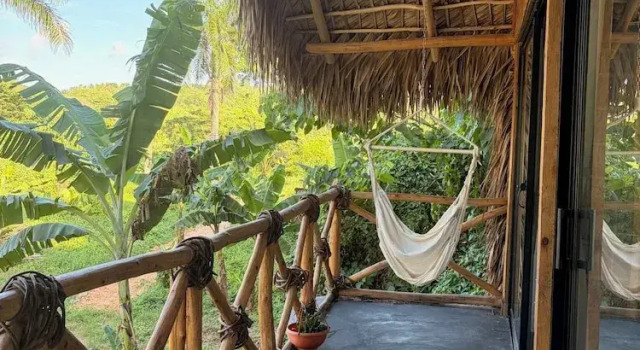 Номер Luxury Dominican Jungle Resort