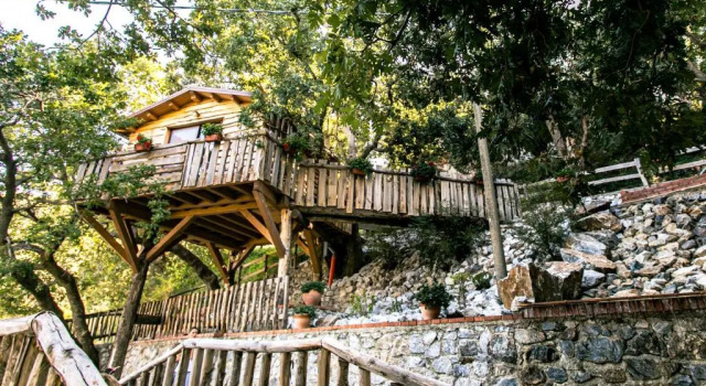 Номер Standard Le casette sull'albero di VILLA ALBA