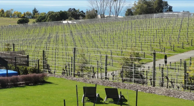 Студия Pine Hill Lodge In Vineyard