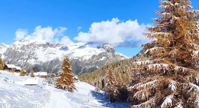 Апартаменты T2 à 5 min à pieds des pistes, Puy St Vincent 1700
