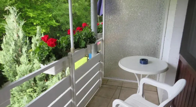 Одноместный номер Standard с балконом Hotel zum Rosenteich