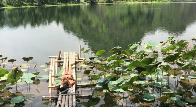Номер Standard Trang An Lotus Lake Homestay