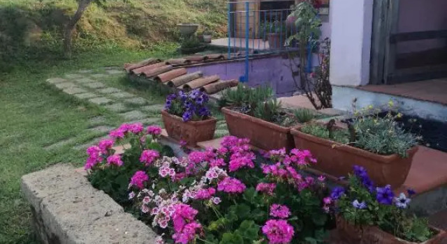 Agriturismo Campolungo, Buchen Sie Hotel Lari Toskana