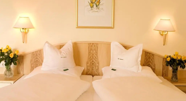Люкс Hotel Alpen Residence