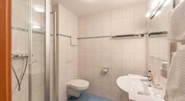 Двухместный номер Standard с панорамным видом Erzherzog Johann Alpin Style Hotel