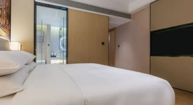 Люкс Deluxe Vienna International Hotel (Zhaotong Hongxing Hejing Plaza)