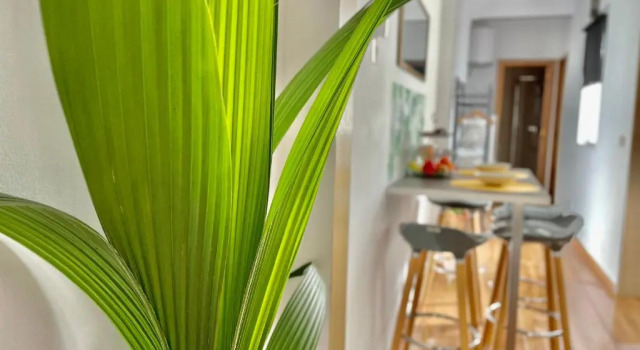 Apartamentos Puerta Real Sevilla, Забронировать Апартаменты/квартира Отели Севильи с парковкой, рядом с Музей Pabellon de la Navegacion, Парковка