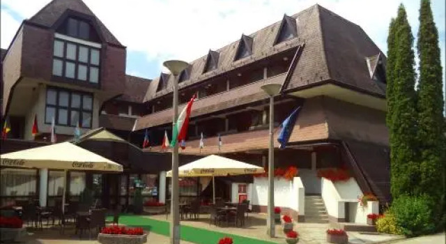 Viking Hotel, Book Hotel Hotels in Fejer with a Pool, Swimming Pool