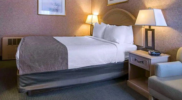 Двухместный номер Standard Flamingo Hotel