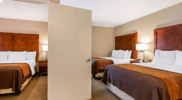Шестиместный семейный номер Standard Comfort Inn Santa Monica - West Los Angeles