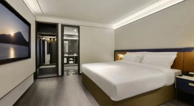 Люкс Business Mehood Theater  Hotel (Xi'an Bell and Drum Tower Daming Palace Longshouyuan Subway Station Branch)