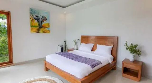 Люкс Sari Sky Villa