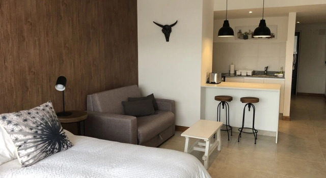 Апартаменты Moderno Loft En El Corazon De Salta