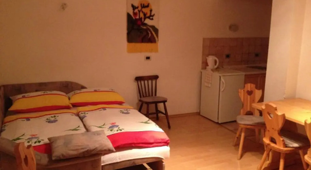 Апартаменты c 1 комнатой Apartments & Rooms Preseren
