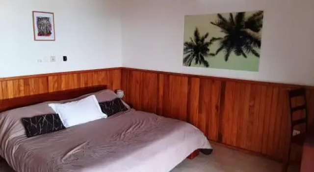 Hotel Palm Rock Beach