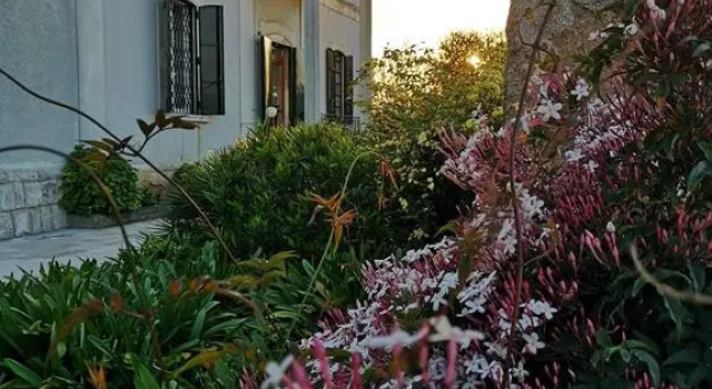 B&B villa Maria, Buchen Sie Bed & Breakfast Giovinazzo Metropolitanstadt Bari